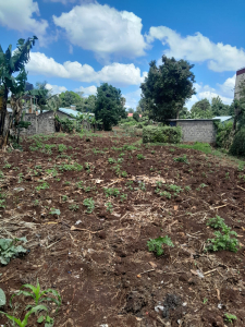 1-Acre Land for Sale in Kitisuru, Kinanda Road, Nairobi