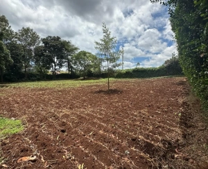 1-Acre Land for Sale in Kitisuru, Kinanda Road, Nairobi