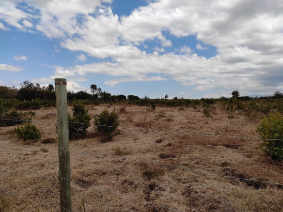 Plot for sale in Nanyuki Nturukuma 2 584x438 - FOR SALE