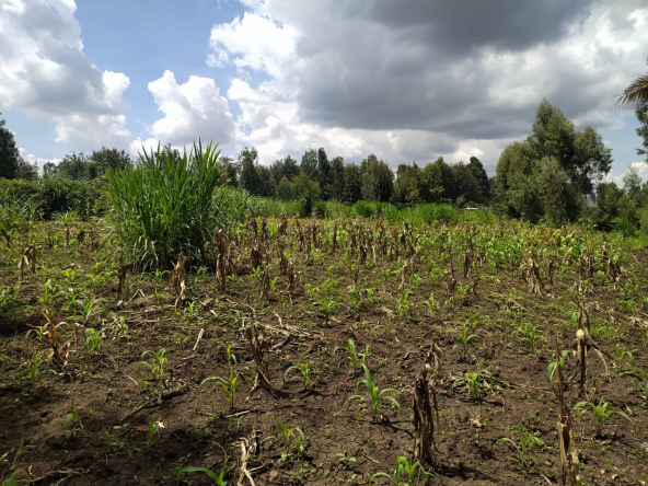 Land & Plots for sale in Ngong Matasia