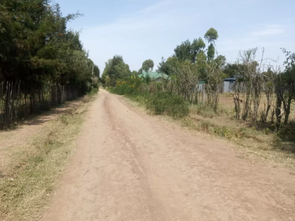 Prime Residential Plots/Land for Sale in Nanyuki Nturukuma Area