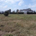 Prime 1/2 Acre Residential Plot for Sale in Kitengela - Enkasiti Area
