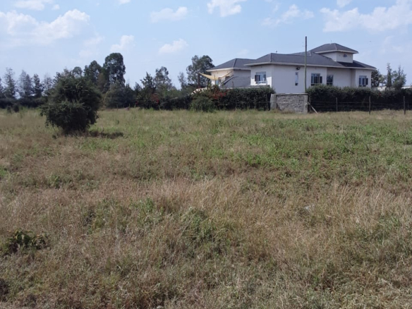 Properties