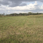 Prime 10-Acre Land on Sale in Kabarak, Nakuru 