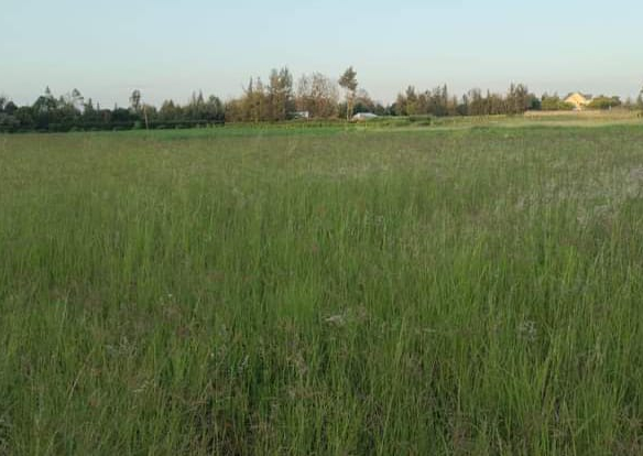 Prime 6-Acre Land for Sale – Ngata, Nakuru County