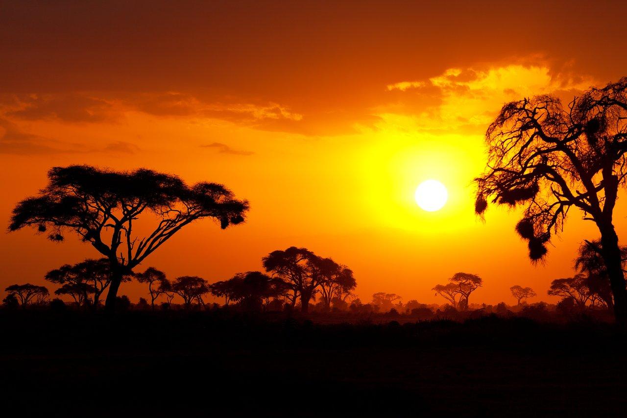 Emerging Trends Shaping ⁤Kenya's ⁢Real ⁢Estate‌ Market