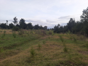 Property Valuation in Kenya