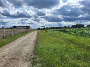 1/4 acre plots for sale in Kitengela – behind Riverine Estate Namanga Road