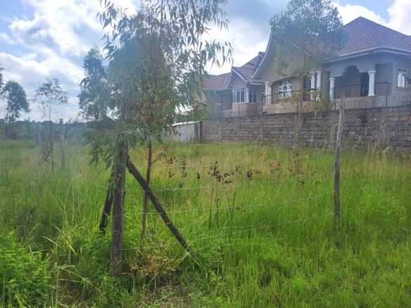 Properties