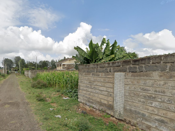 🏡 Prime 1/4 Acre Residential Plot for Sale – Olive Inn, Kiamunyi, Nakuru County