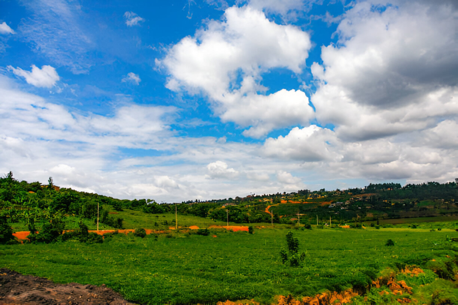 Valuers in Murang’a – Avenue Valuers Ltd