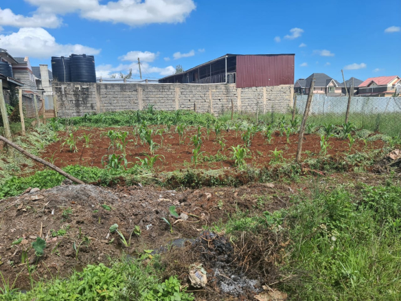Residential Plot for Sale at Kenyatta Road, Chai Estate – Juja