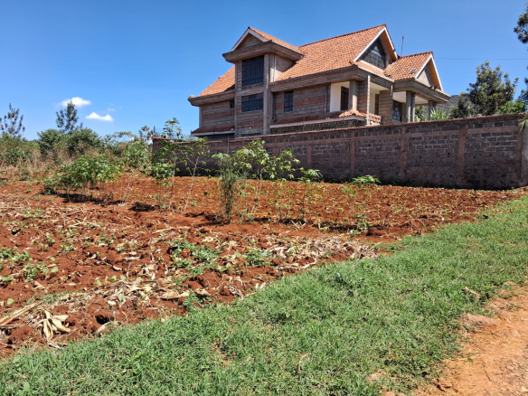 Prime Residential Plots for Sale – Croton Ridge Estate, Kenyatta Road, Juja