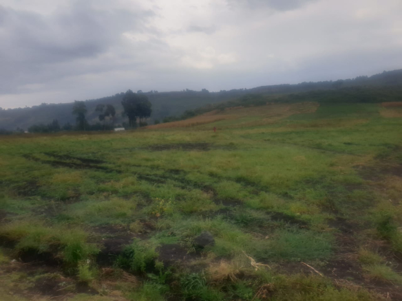 Land for Sale in Kenya
