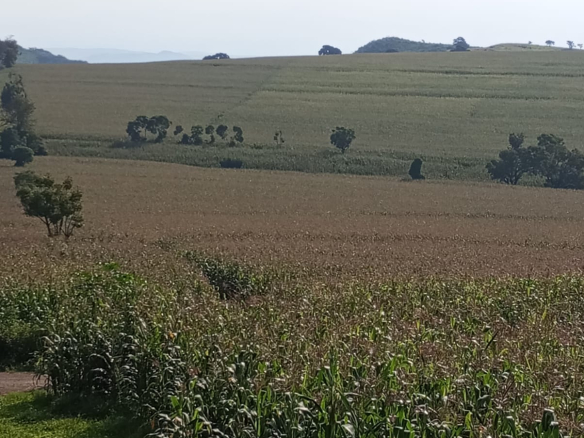 500 Acres of Prime Agricultural Land for Sale – Subukia (Kiboronjo)