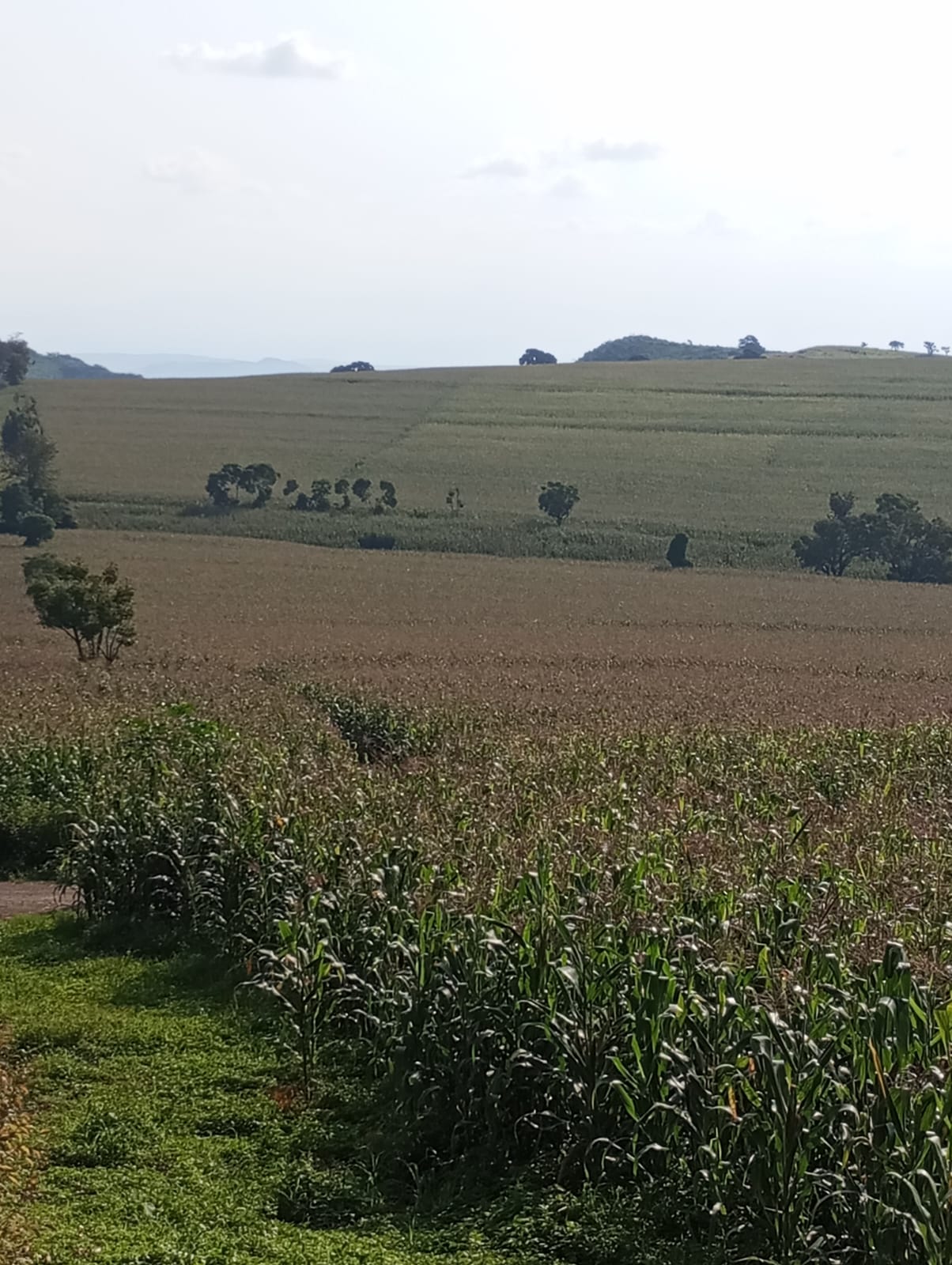Land for sale in nakuru subukia
