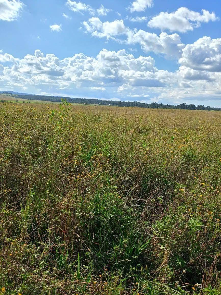 Land for sale in olkalou nyandarua county – agricultural land