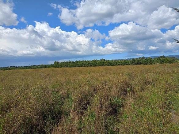 100 Acres Agricultural Land for Sale – Olkalou, Nyandarua County