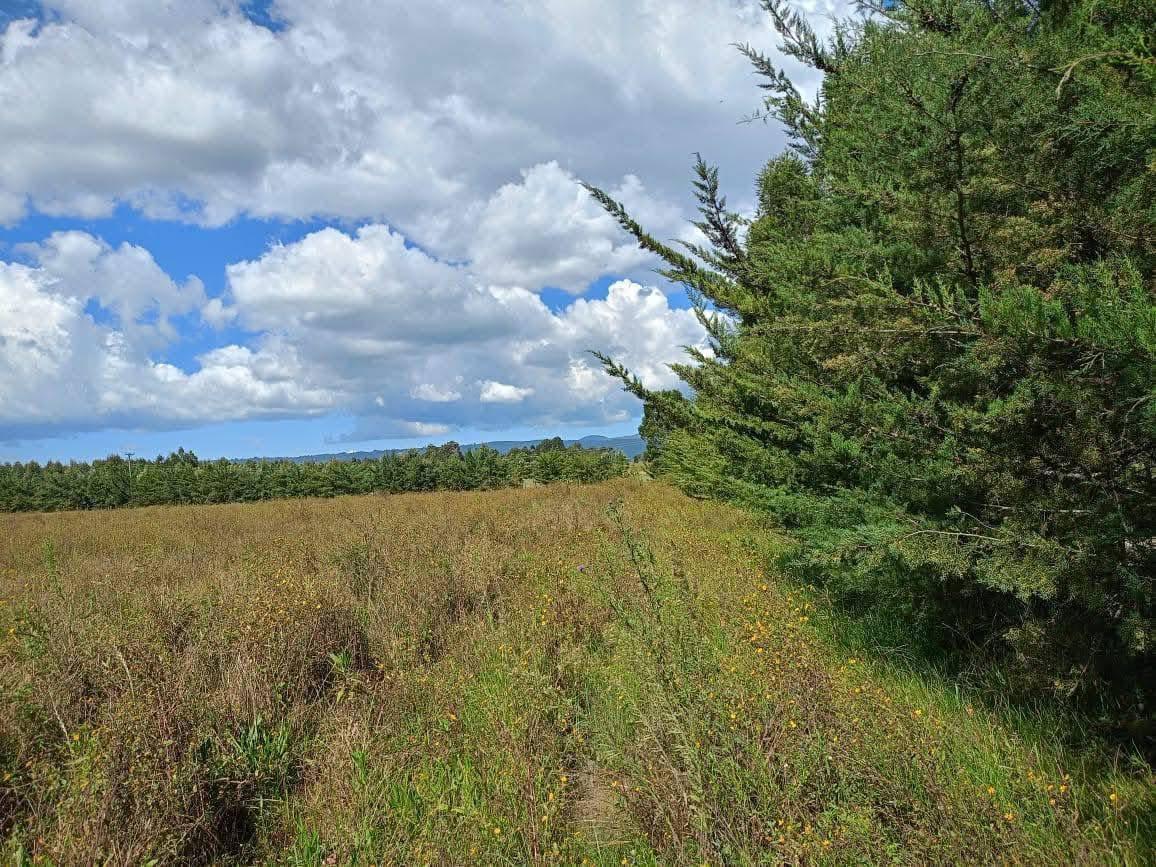 Land for sale in olkalou nyandarua county kenya agricultural land