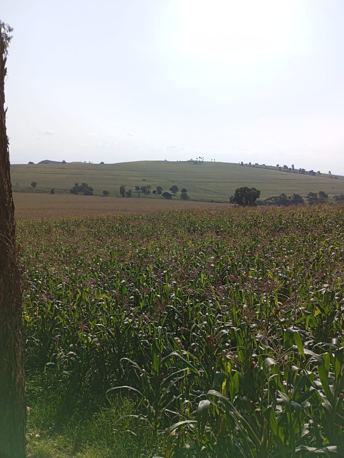 Land for sale in subukia nakuru