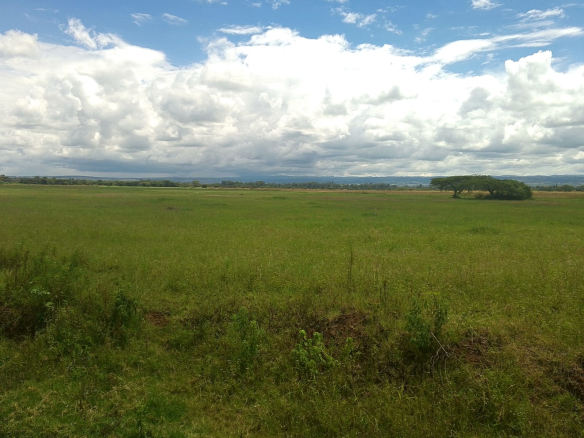 FOR SALE: Very Prime 116 Acres – Kapkures, Nakuru (Only 10km From Nakuru CBD)