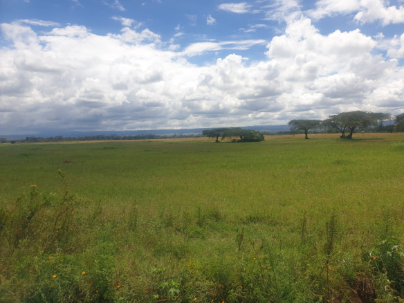 300 Acres for Sale – Prime Flat Land in Salgaa (Rongai), Nakuru