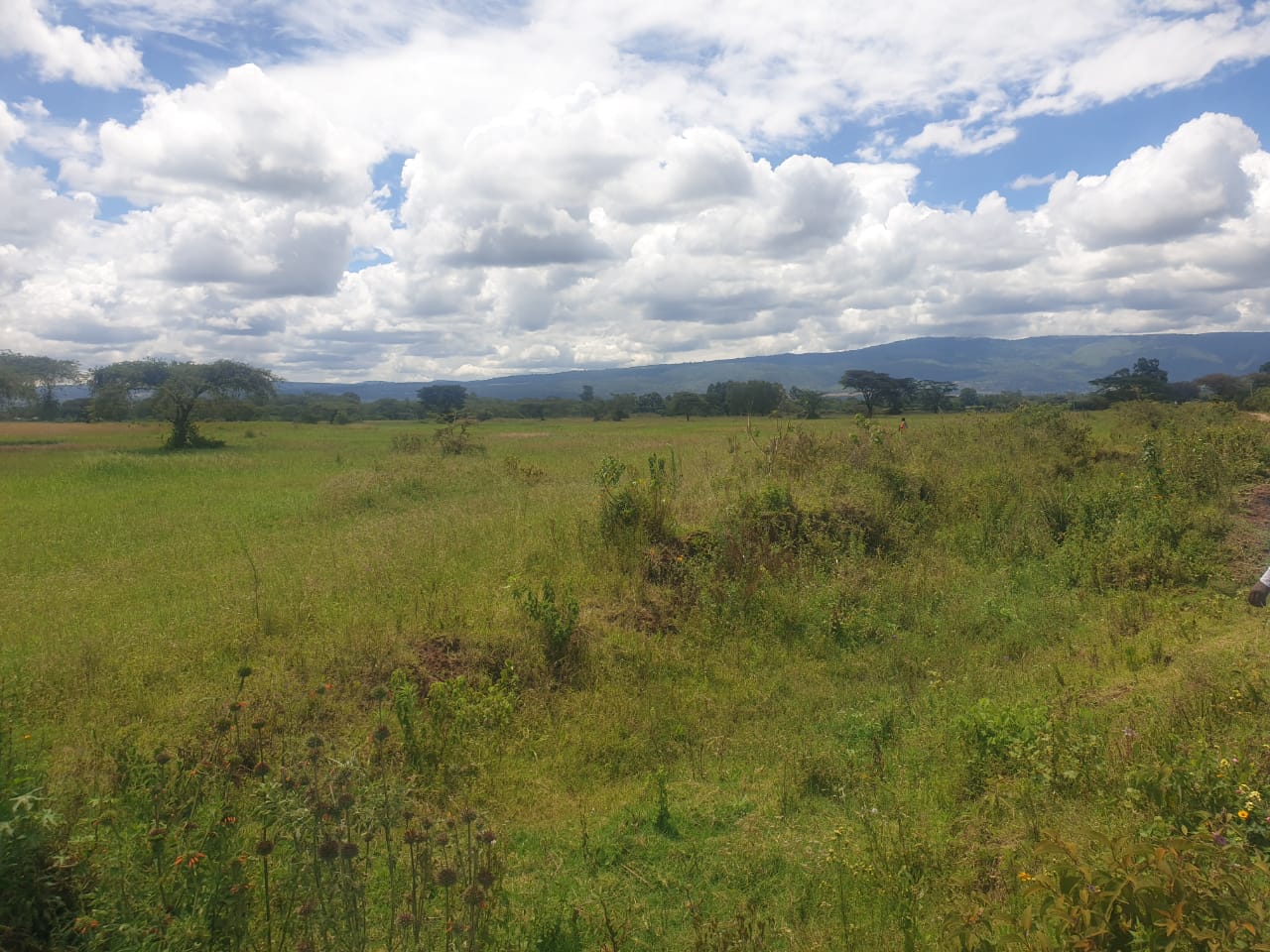 land for sale i n salgaa rongai nakuru properties
