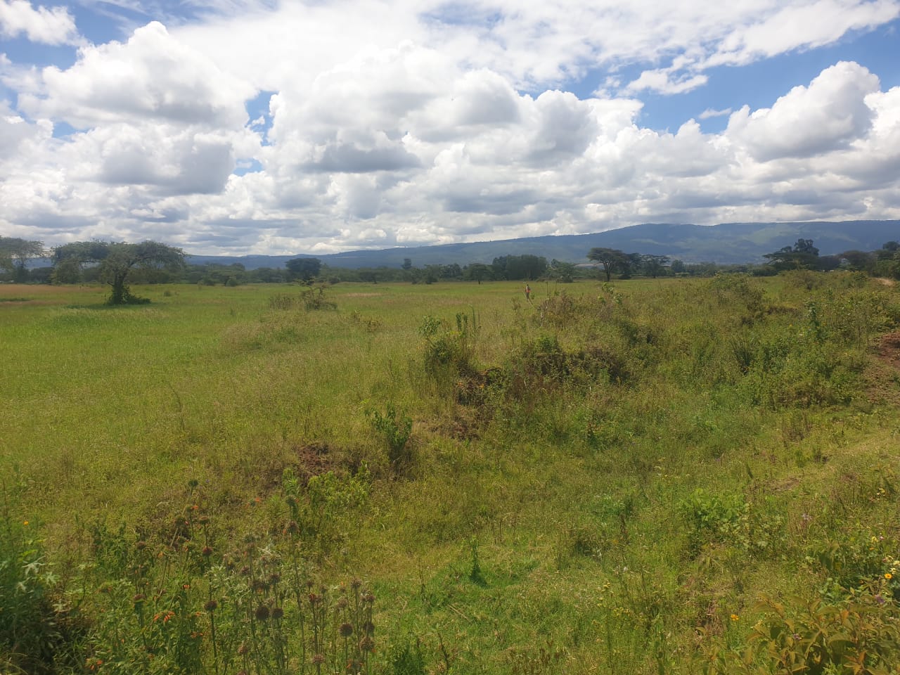 land for sale i n salgaa rongai nakuru