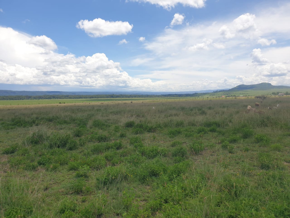 LAND FOR SALE: 11 Acres – Mwariki C, Nakuru