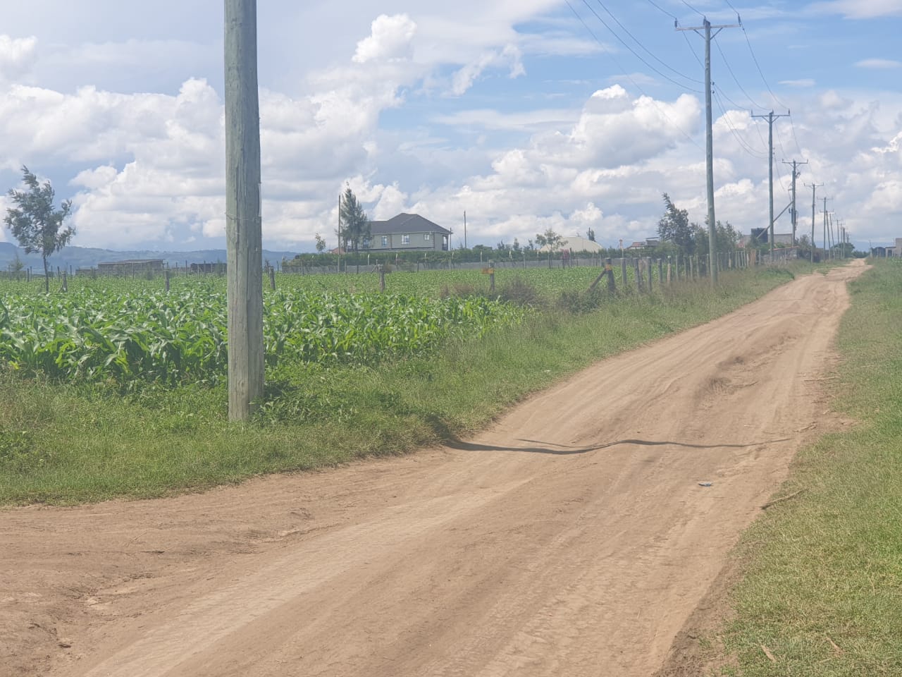land for sale in mwariki nakuru