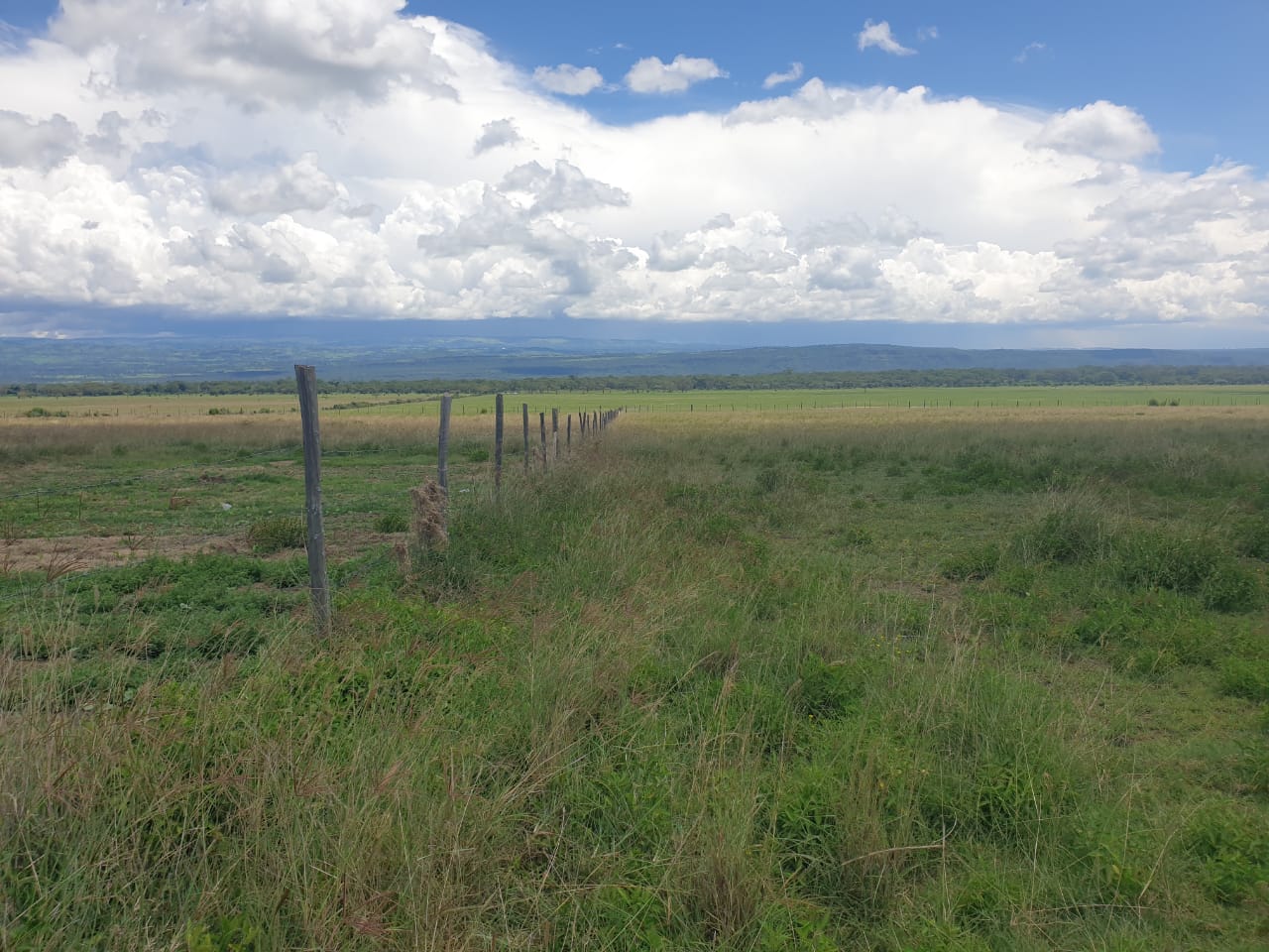 land for sale in mwariki pipeline nakuru kenya