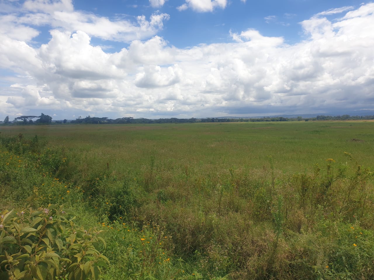 land for sale in salgaa rongai nakuru properties