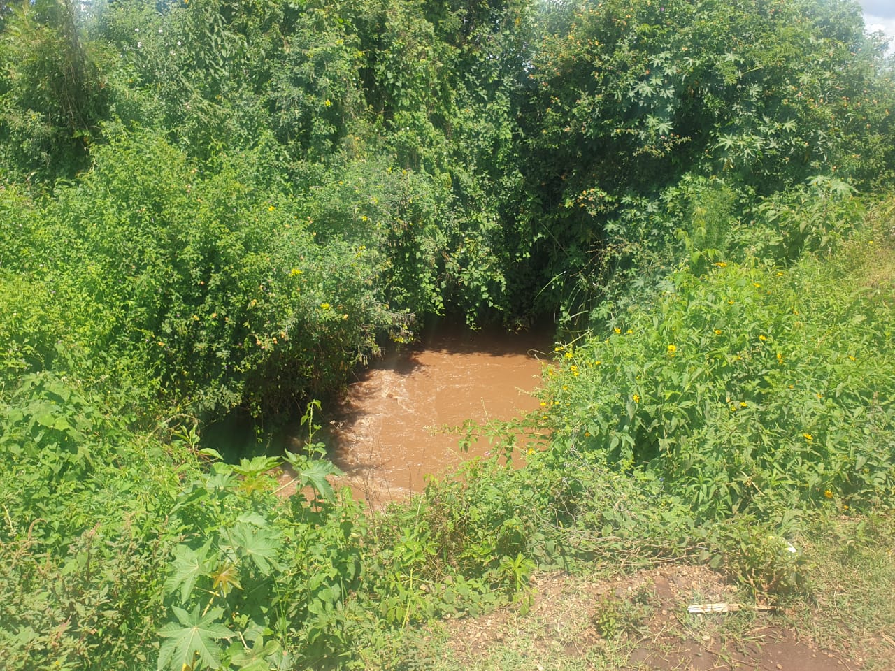 land for sale in salgaa rongai nakuru properties for sale in salgaa