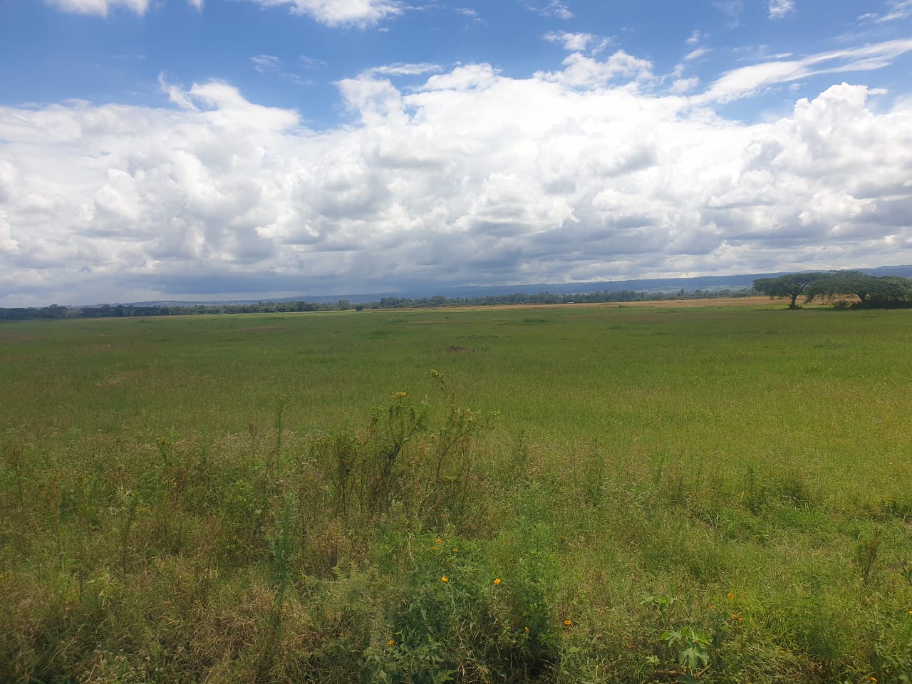 land for sale in salgaa rongai nakuru properties salgaa kenya